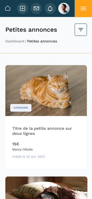 Aperçu de la maquette mobile des petites annonces de VetAgroSup