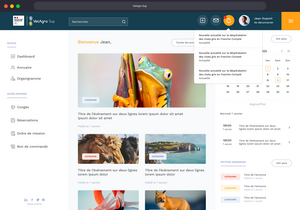 Aperçu de la page d'accueil du site de VetAgro Sup